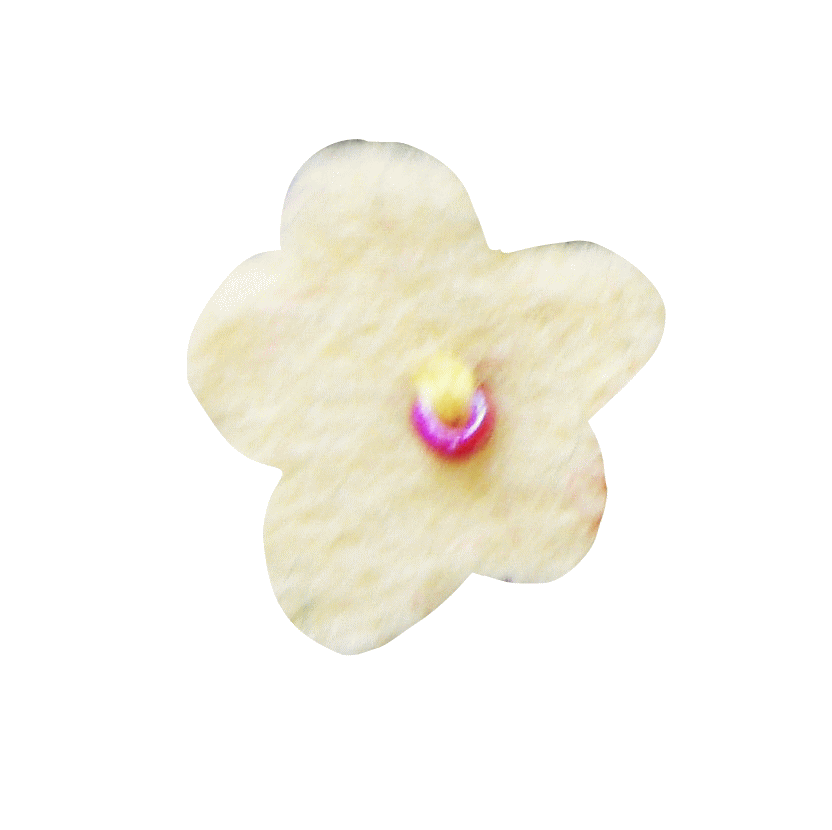 ウェブ アニメーター