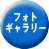 フォト ギャラリー