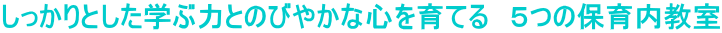 しっかりとした学ぶ力とのびやかな心を育てる　５つの保育内教室
